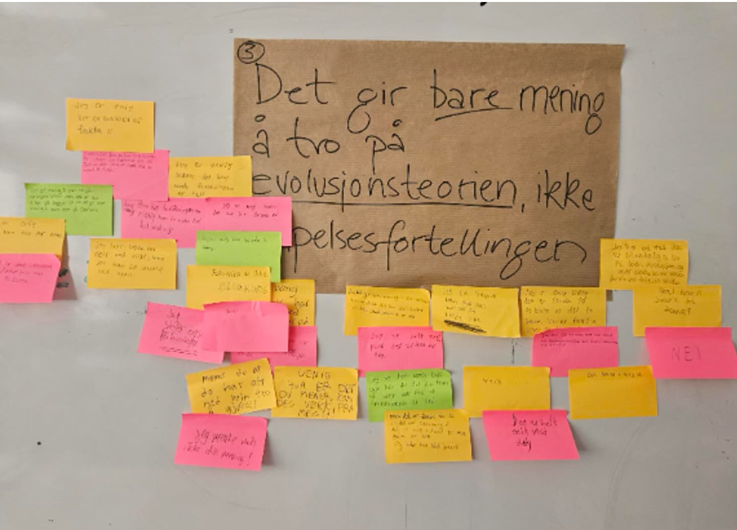 aktivitet7-bilde4