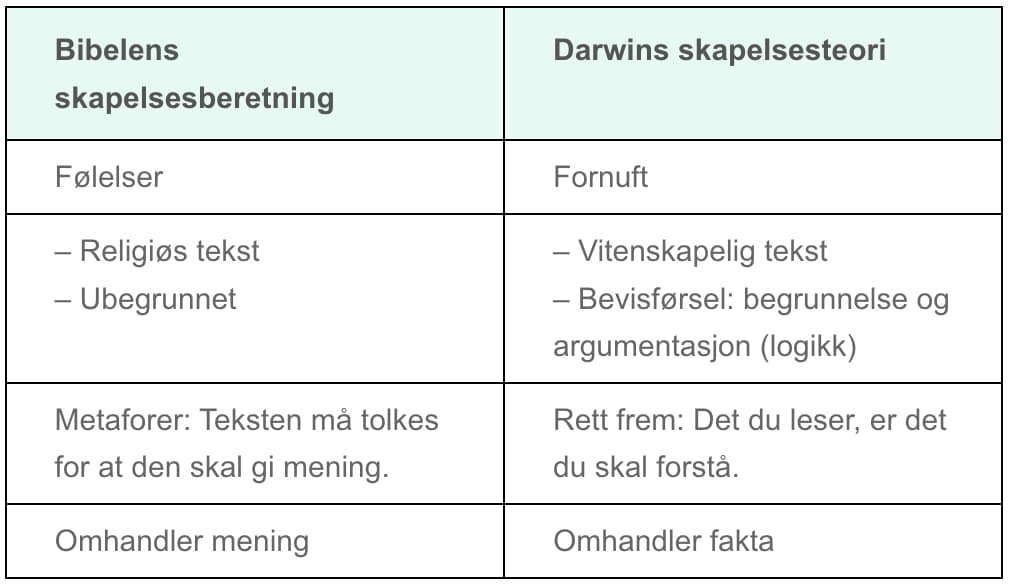 aktivtet 8-bilde 1