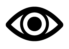 Ikon øye
